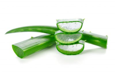 Benefits of Aloe Vera